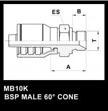 MB10K   BSP MALE 60 CONE